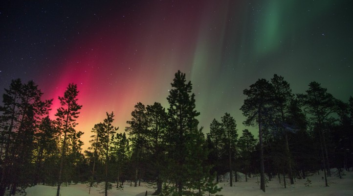 Offrez un massage en cadeau!